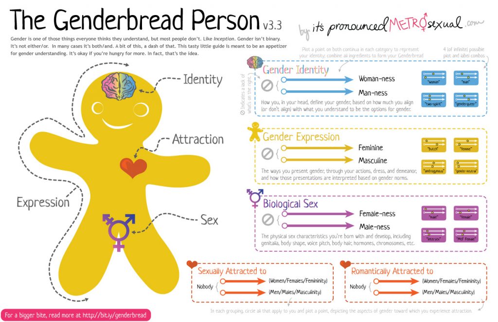 Gay Test - Genderbread Person