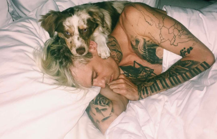 Aaron Carter bisexual