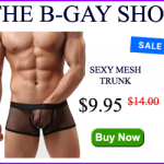 BGayFrontAdMesh