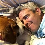 Andy Cohen gay